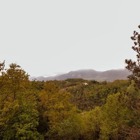 Bio La Scoperta Del Pollino Oda ve Kahvaltı