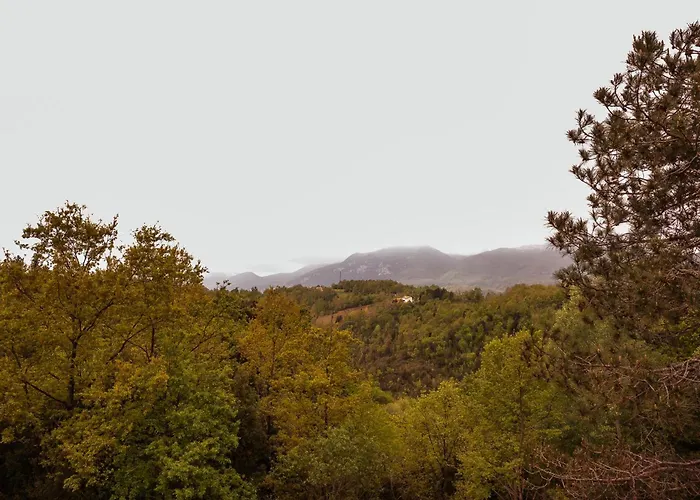 Bio La Scoperta Del Pollino Panzió